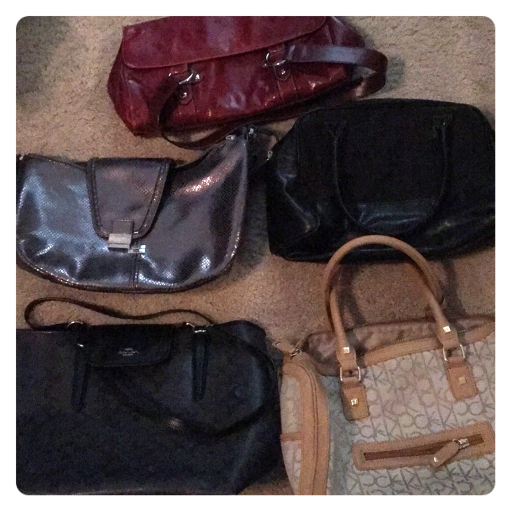 Purse Bundle